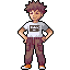 Sprite renovado de Brock