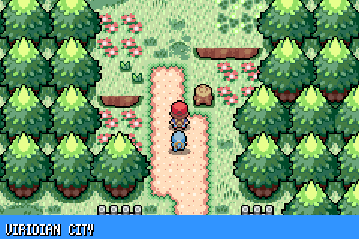 The trainer and companion walk a flower-lined path near Viridian City